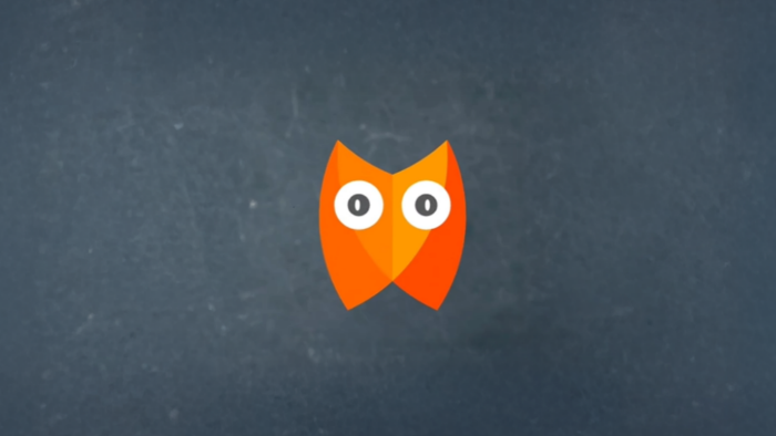 maskot logo tasarımı ve karakter logo tasarımı yaparım