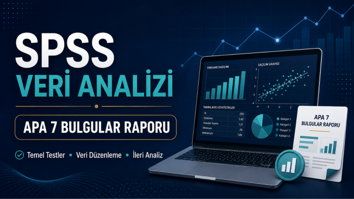 SPSS ile istatistiksel analiz ve raporlama yapıyorum