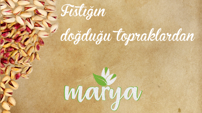 sizin için harika bir logo tasarlayabilirim