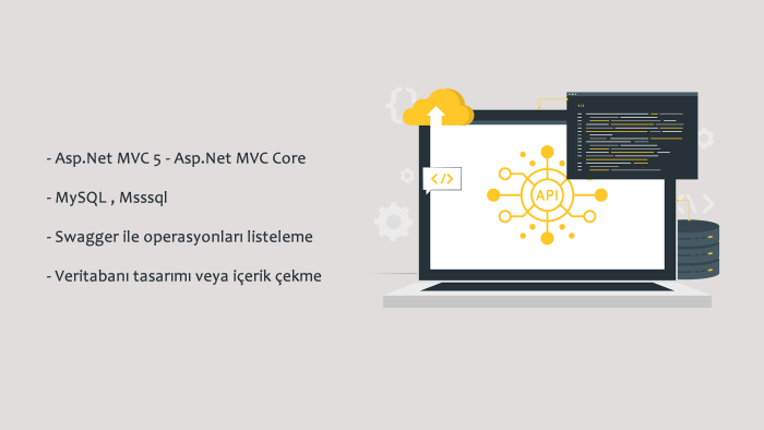 veri tabanı ile .Net Core Web API geliştirebilirim