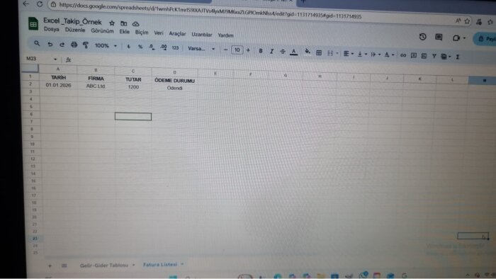 Excel ile gelir gider, fatura ve cari hesap takibi yaparım