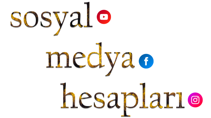 sosyal medya hesaplarınızı kurabilirim