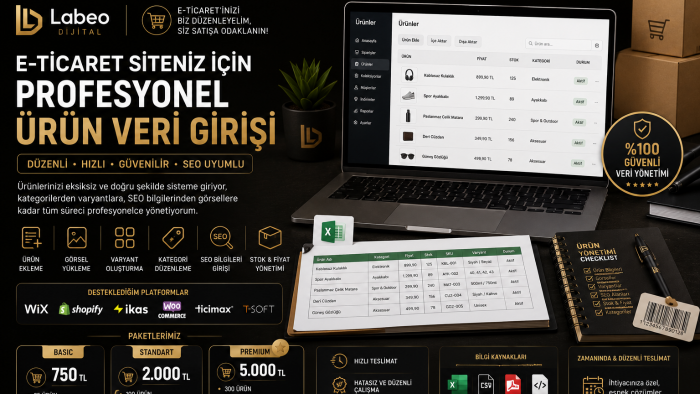 e-ticaret siteniz için ürün veri girişi yaparım