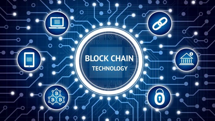 NFT ve Token projelerini yapabilirim