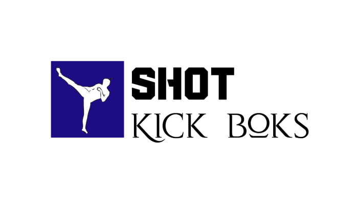 profesyonel şekilde logo tasarlarım