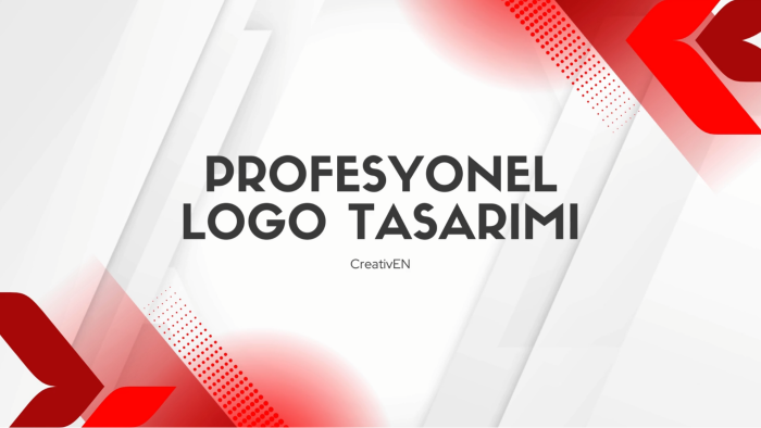 size özel profesyonel özgün ve şık logo tasarımı yaparım