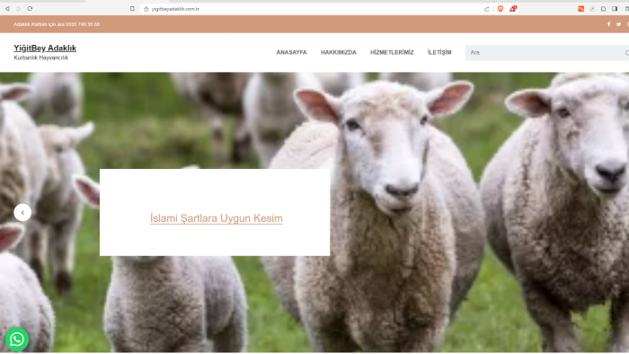 wordpress ile sitenizi oluşturabilirim