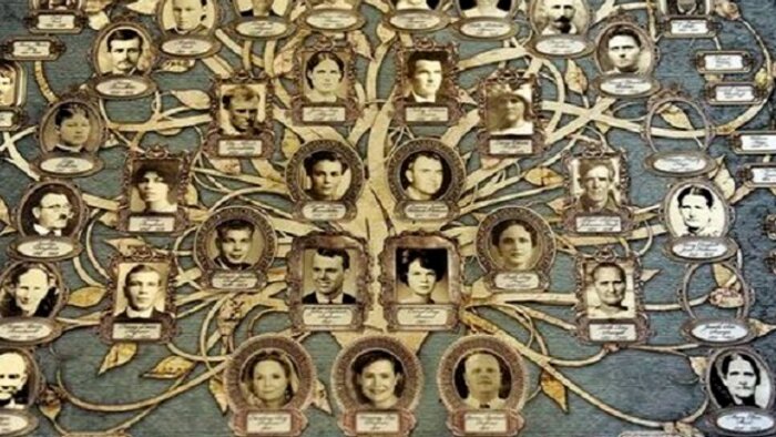 soyağacınızı anlaşılır bir şekilde oluşturabilirim