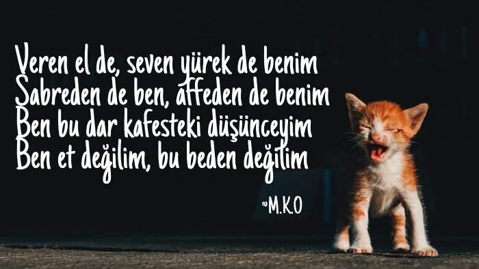 kurum ve kuruluşlarınız için marş/reklam şarkısı yazarım