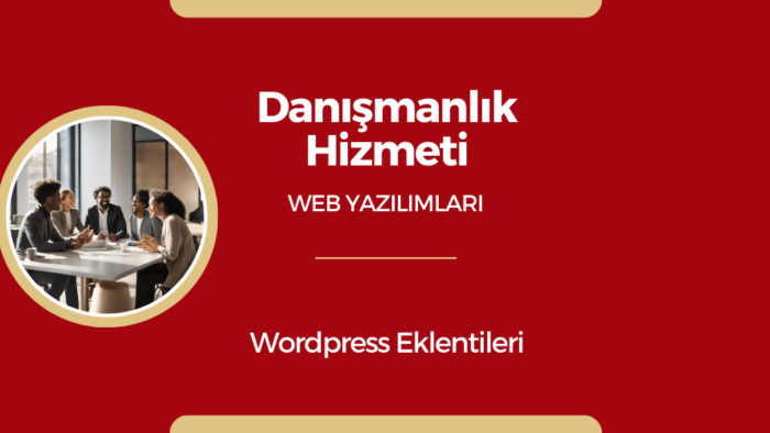 web hizmetleri konusunda danışmanlık hizmeti veriyorum