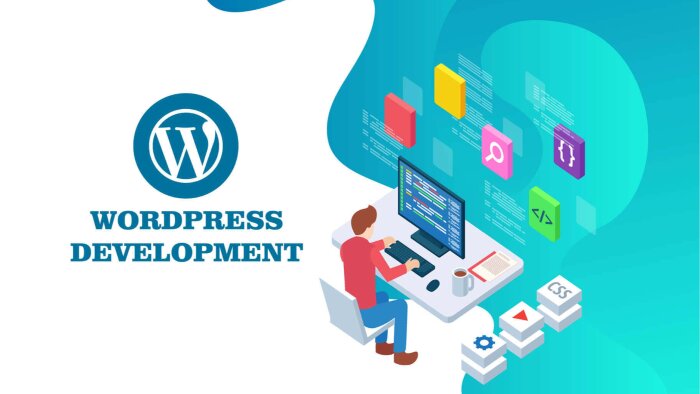 Wordpress yazılımınızı geliştirebilirim