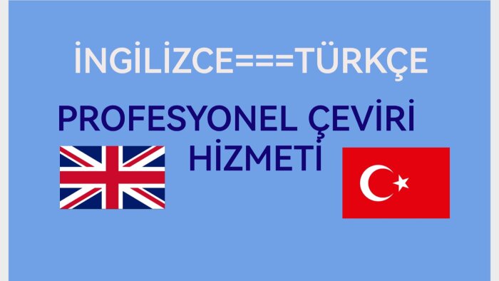 profesyonel i̇ngilizce türkçe çeviri yapabilirim