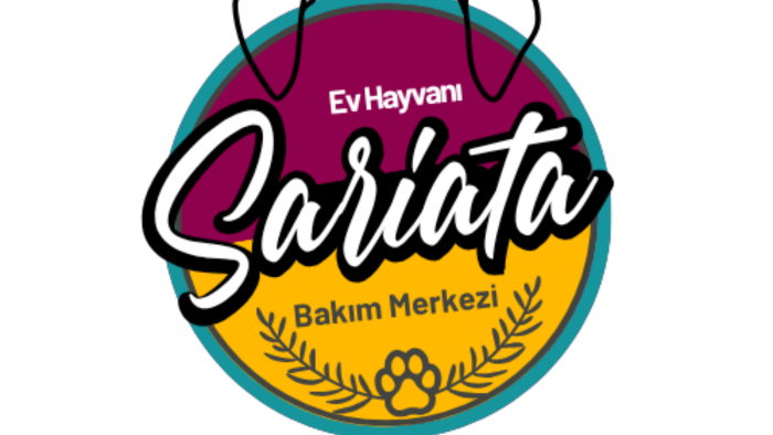 sizler için en iyi logoyu tasarlarım