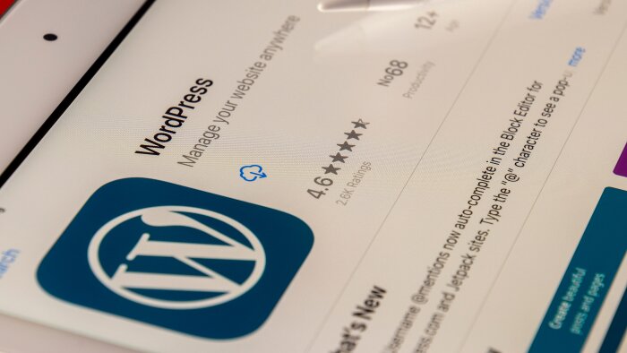 wordpress sitenizi yapar ve yayına alabilirim
