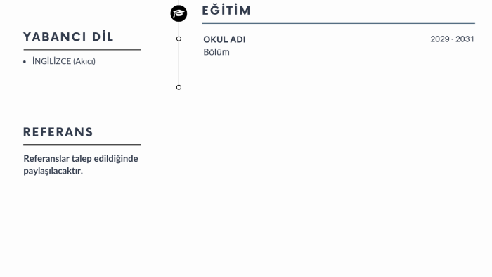 ATS uyumlu modern profesyonel CV özgeçmiş tasarımı yapıyorum