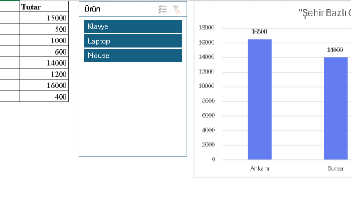 excel verilerinizi dashboard ve özet raporlara dönüştürürüm