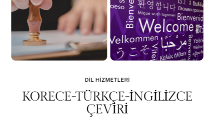 Korece-İngilizce-Türkçe çevirilerinizi yapabilirim