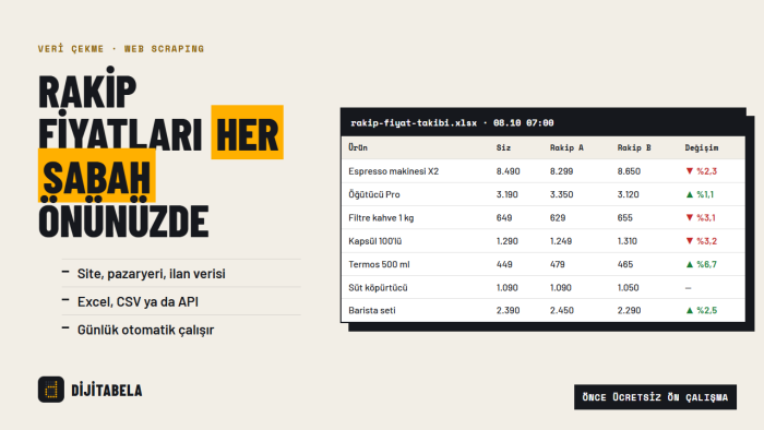 web sitelerinden veri çeker Excel ve API olarak teslim ederim