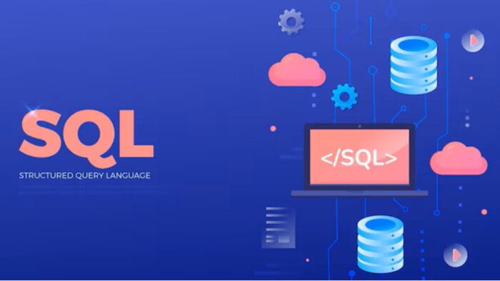 sql veritabanı çözümleri sunarım