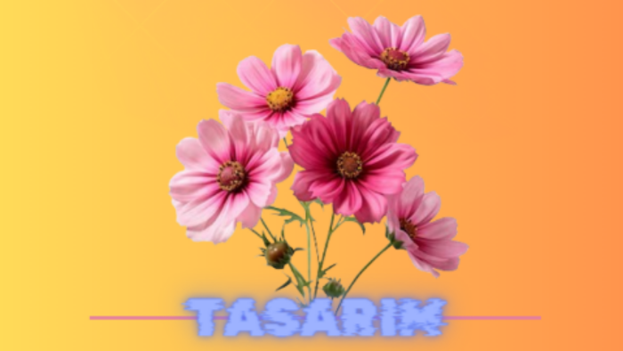sizin/şirketiniz için tasarım hazırlayabilirim