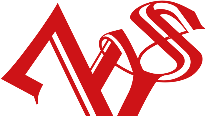logo tasarımları  yaparım