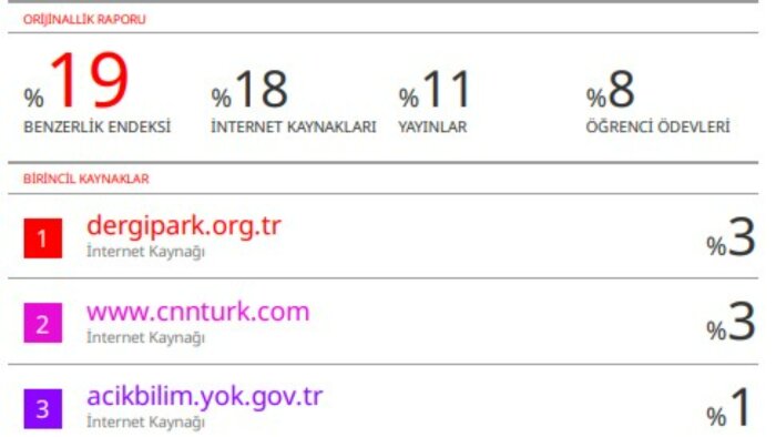 akademik çalışmalarınızın intihal raporunu hazırlarım