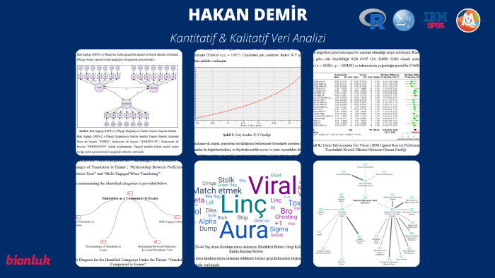 SPSS, Amos ve MaxQDA ile verilerinizi analiz ederim