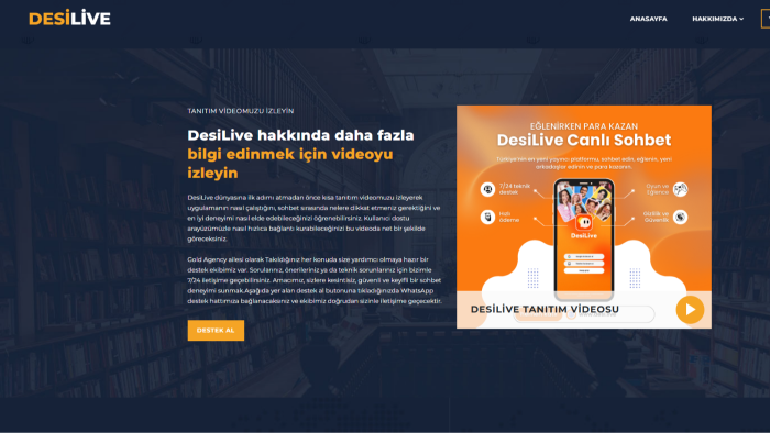 desilive ajans web sitesi kurulumu yapabilirim