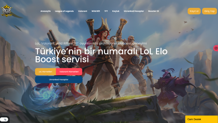 her türlü website projenizi yaparım