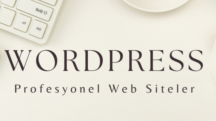 profesyonel wordpress web sitesi tasarımı yaparım