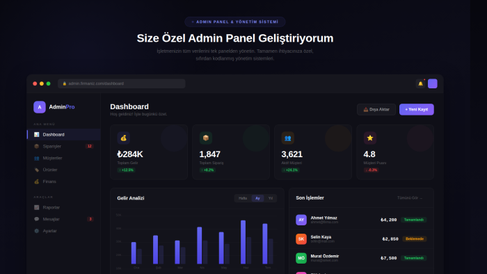 özel admin panel ve yönetim sistemi yapıyorum