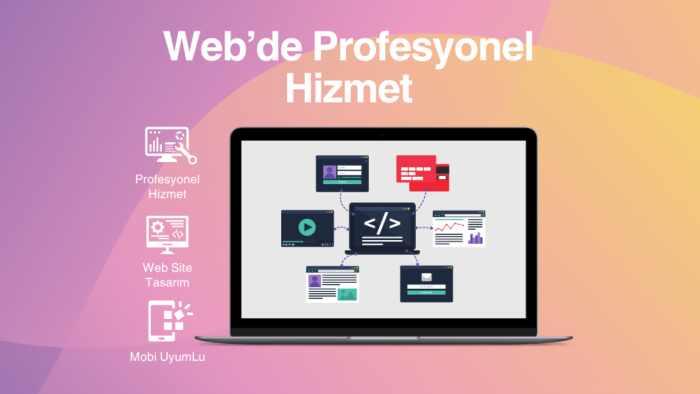 profesyonel web sitenizi yaparım