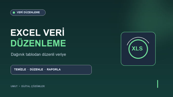 excel dosyanızı ve verilerinizi düzenlerim
