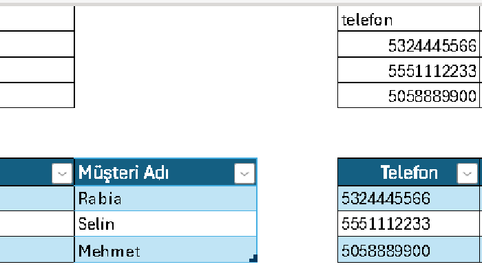 verilerini temizler, düzenler ve sizlere sunarım