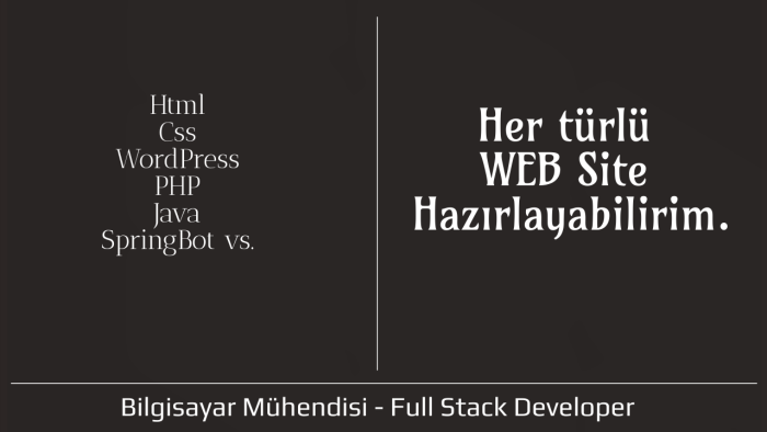 anahtar teslim kişisel-kurumsal web siteleri yaparım