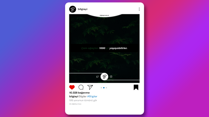 instagram bilgi sayfası için gönderi tasarımı yapabilirim