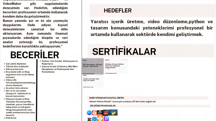 profesyonel cv tasarımı yaparım