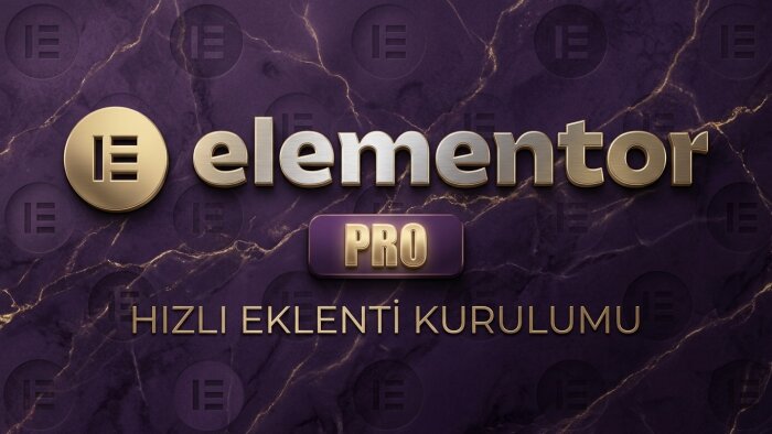 wordpress elementor pro eklentisi kurabilirim