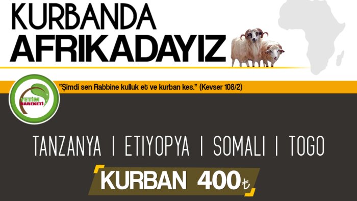 Kreatif ve profesyonel sosyal medya tasarımları yapabilirim