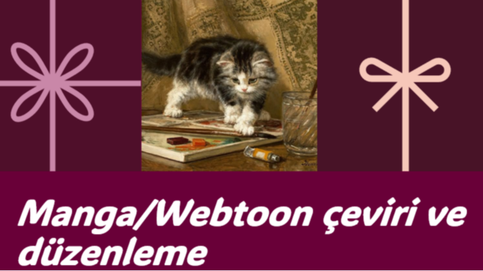manga/webtoon çeviri ve düzenlemesi yaparım