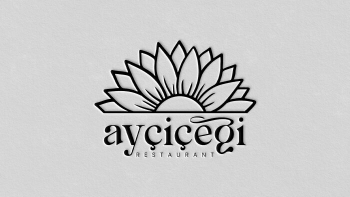 sizin için profesyonel ve kurumsal logo tasarlayabilirim