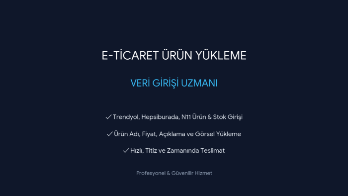 E-ticaret siteleriniz için düzenli veri girişi yapabilirim