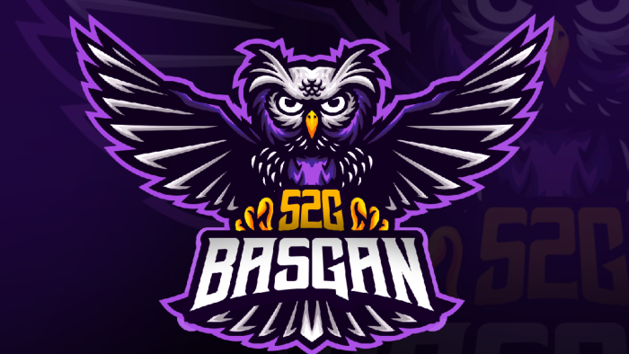 profesyonel ve minimal logo tasarımı yaparım
