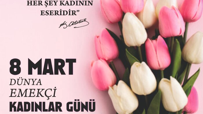 profesyonel olarak logo ve diğer dijital tasarımları yaparım