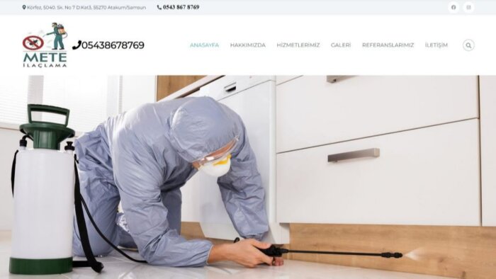 wordpress kullanarak istediğiniz siteyi yapabilirim