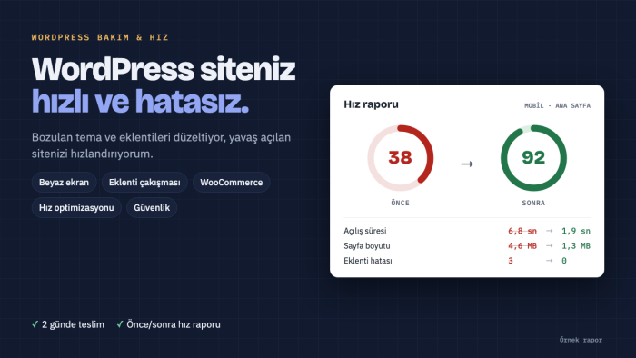 WordPress sitenizdeki hataları giderip hızlandırırım