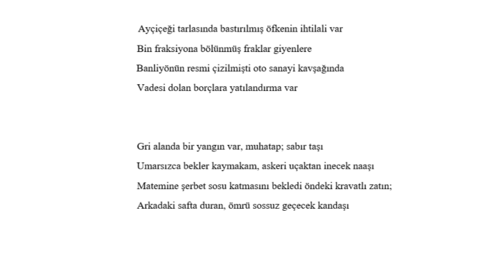 metin düzenleme yapabilirim