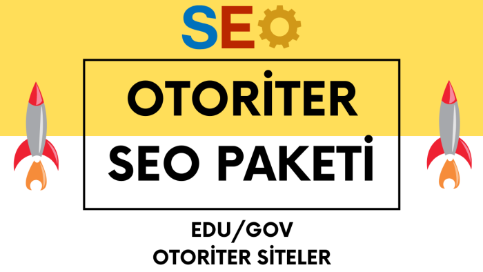 Platinum SEO paket ile websitenize etkili backlink yapıyorum