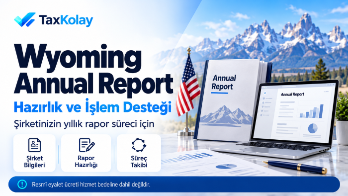 Wyoming Annual Report hazırlığında destek olurum