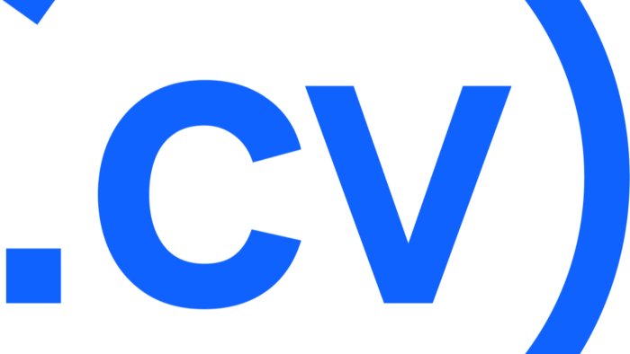 iş başvurularınız için özel CV tasarımı yapıyorum
